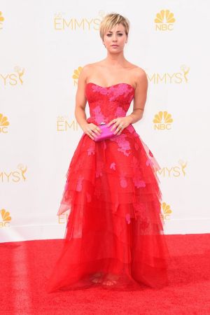 Kaley Cuoco-Sweeting in Monique Lhuillier - Emmys 2014 red carpet photos.jpg